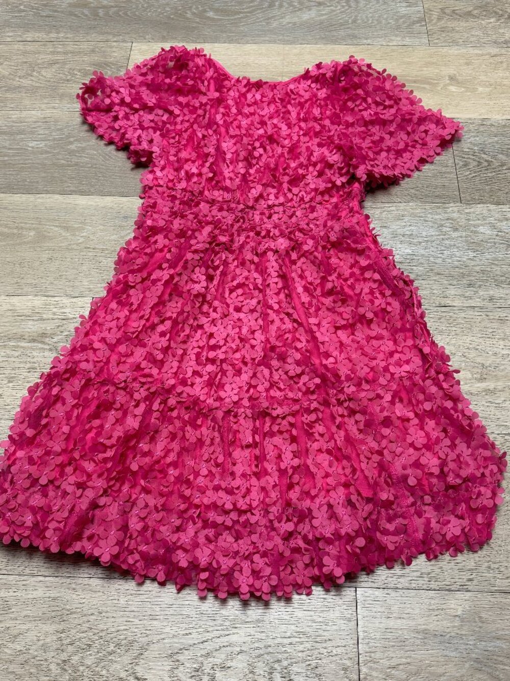 Anthropologie The Somerset Mini Pink Dress Floral Appliqué Edition Small P - Picture 9 of 12